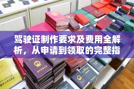 天等驾驶证制作要求及费用全解析，从申请到领取的完整指南