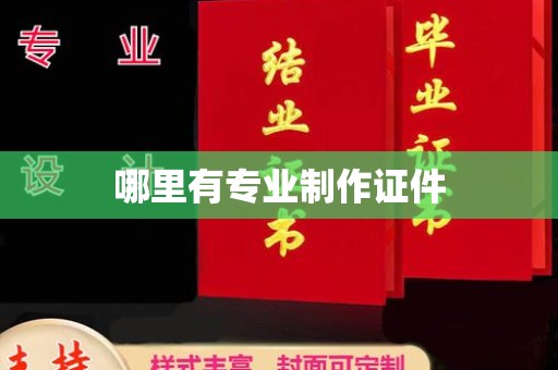 天等哪里有专业制作证件