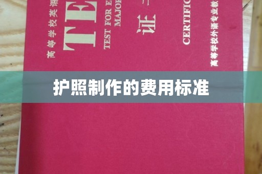 天等护照制作的费用标准