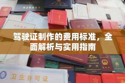 天等驾驶证制作的费用标准，全面解析与实用指南