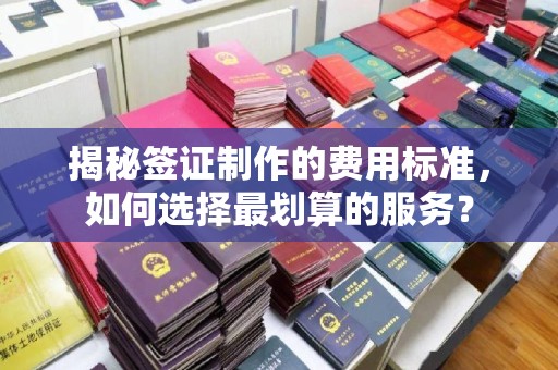 天等揭秘签证制作的费用标准，如何选择最划算的服务？