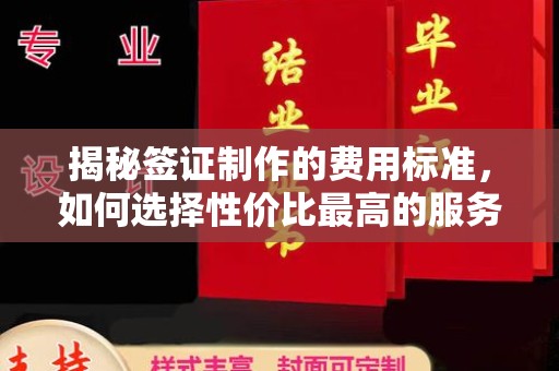 天等揭秘签证制作的费用标准，如何选择性价比最高的服务？