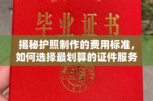 天等揭秘护照制作的费用标准，如何选择最划算的证件服务？
