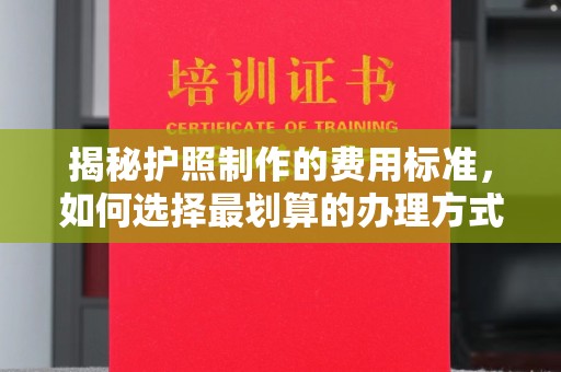 天等揭秘护照制作的费用标准，如何选择最划算的办理方式？
