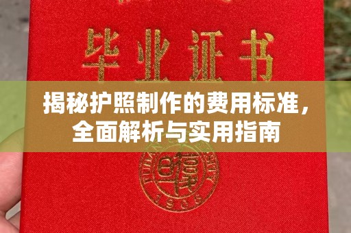 天等揭秘护照制作的费用标准，全面解析与实用指南