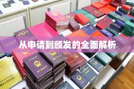 天等从申请到颁发的全面解析